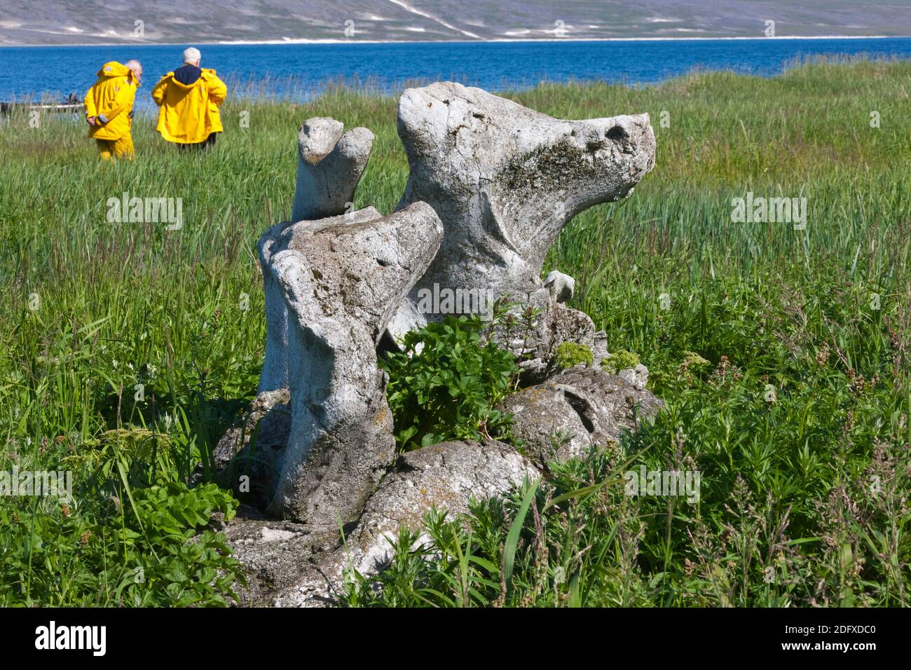 Tourists watching Bowhead Whale jawbones, Yttygran Island, Bering Sea, Russian Far East Stock Photo