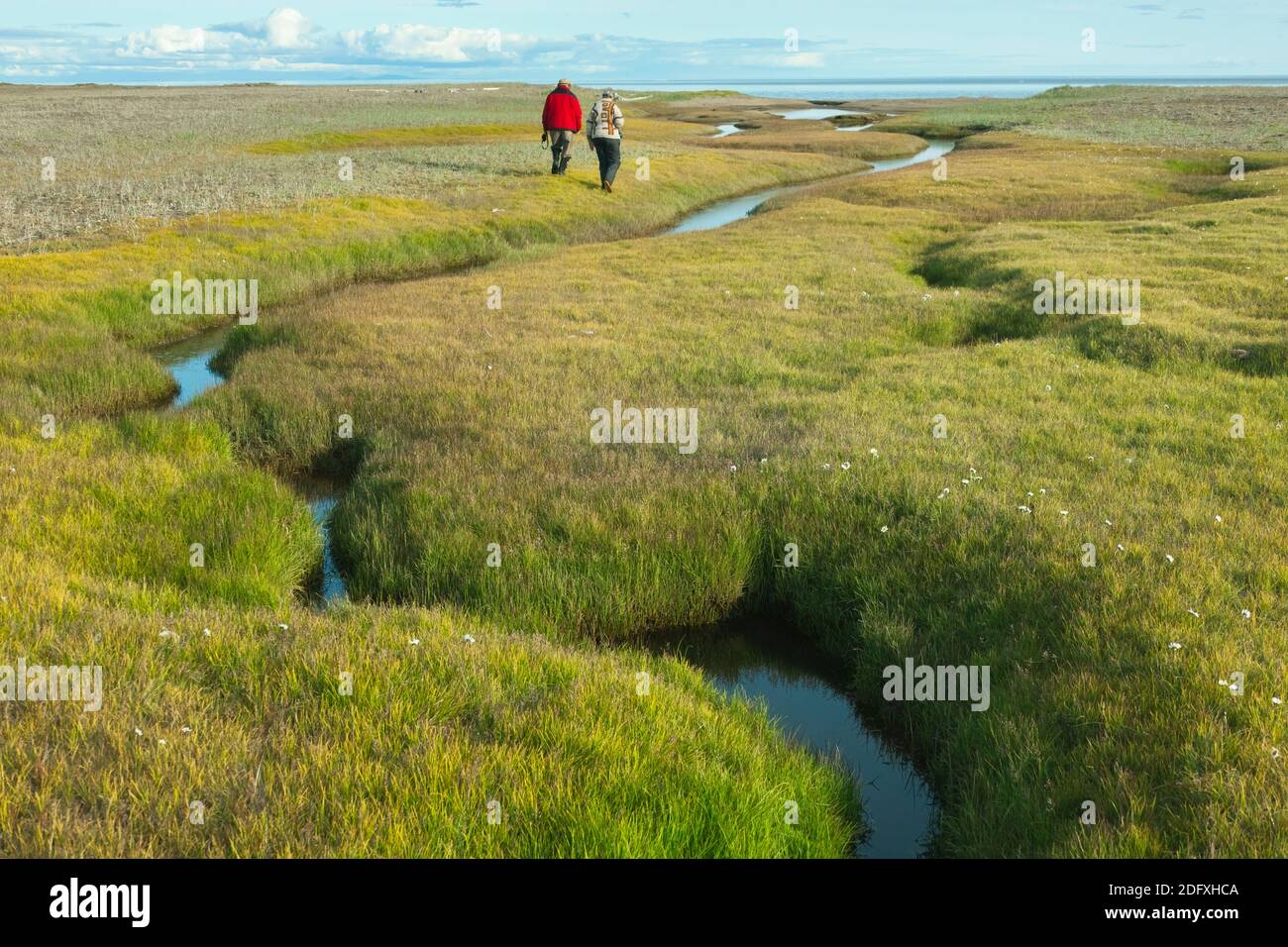 Tourists hiking on tundra, Cape Onman, Chukchi Sea, Russia Far East Stock Photo