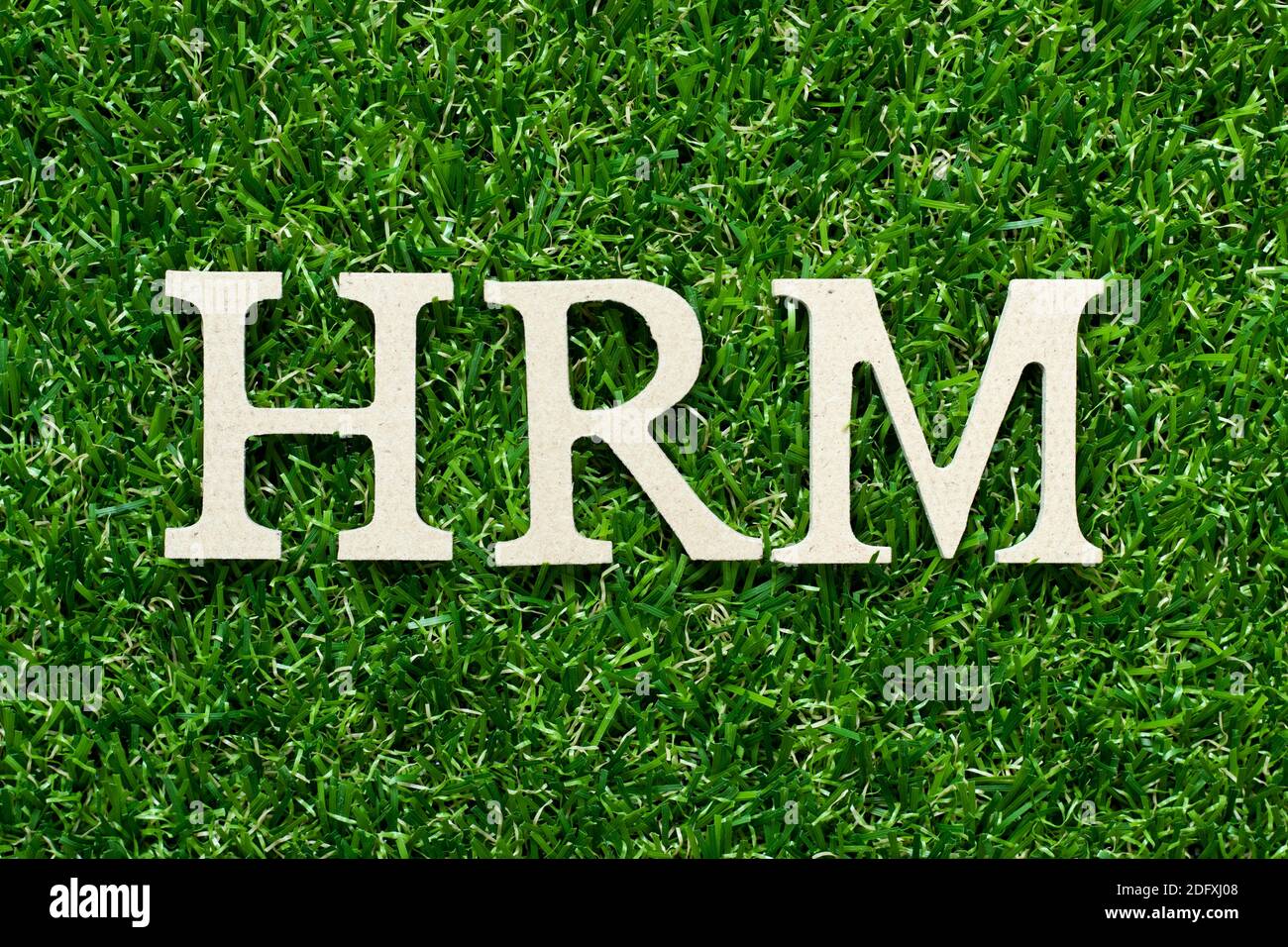 Wood alphabet letter in word HRM (Abbreviation of human resource