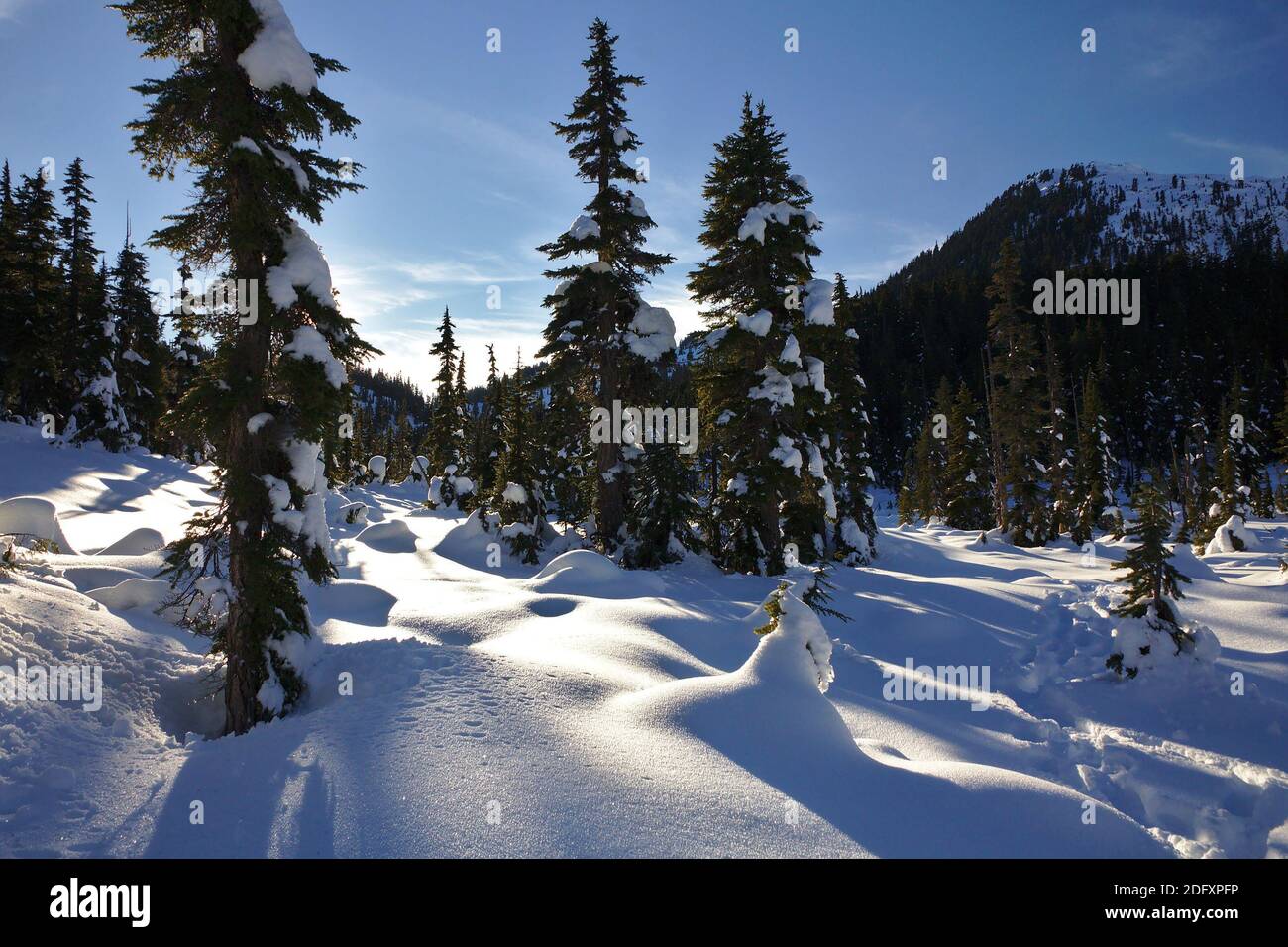 Winter landscape, trees in mountains covered with fresh snow, Rainbow Lake, Whistler, British Columbia, Canada Stock Photo