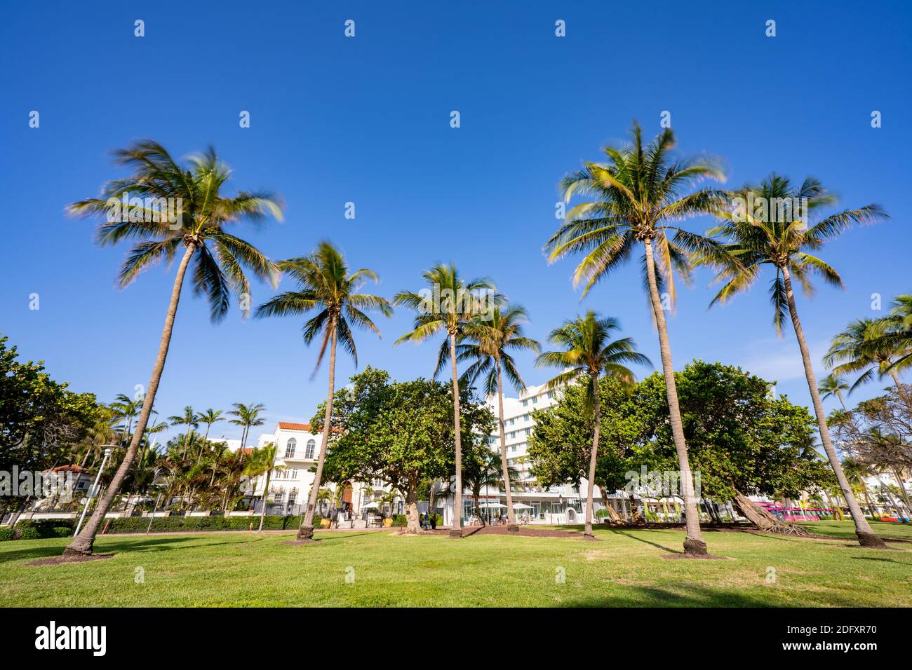 Lummus Park Miami Beach photo Stock Photo