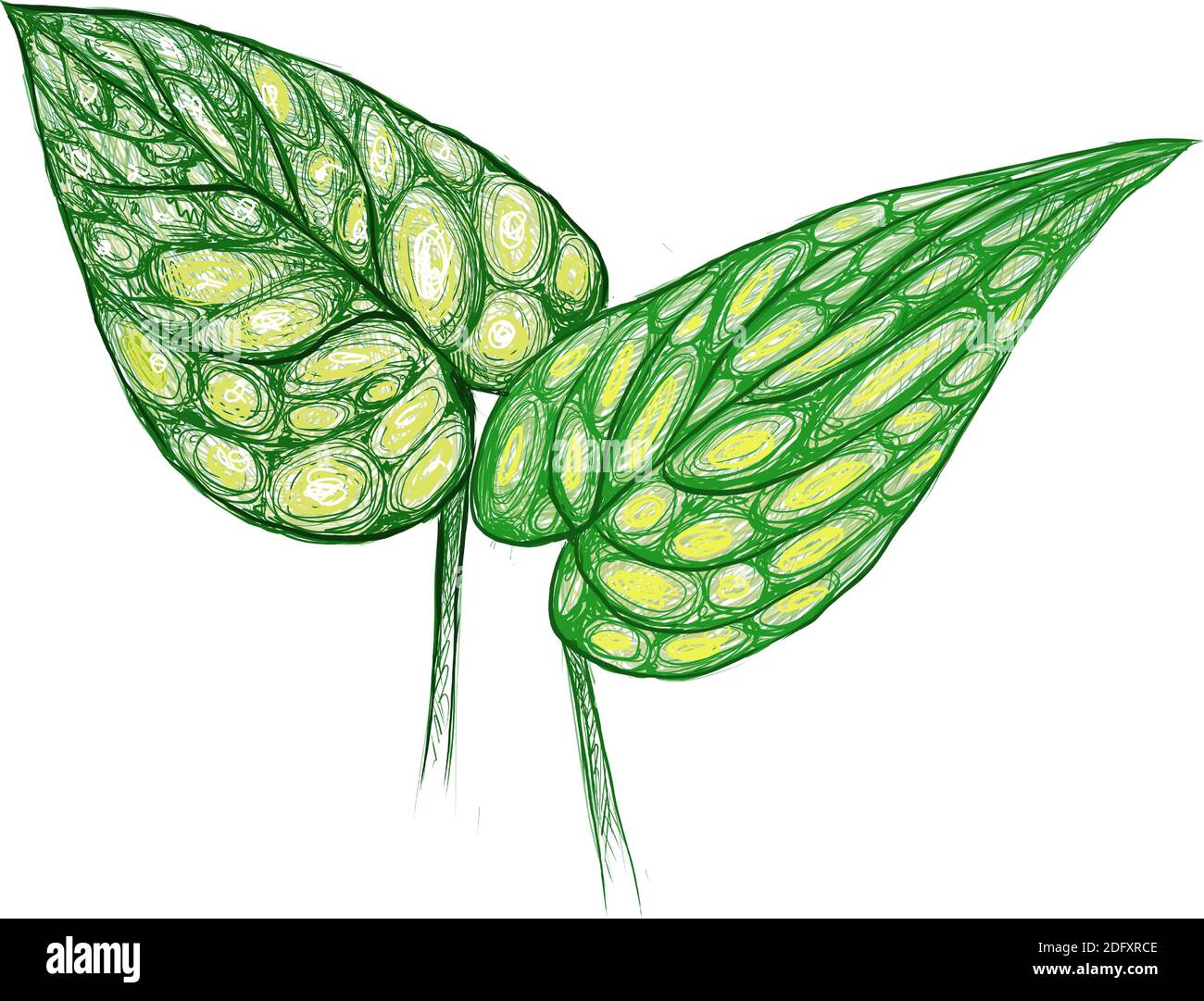 Ecology Concepts, Illustration of Monstera Peru or Karstenianum Plant. Stock Vector