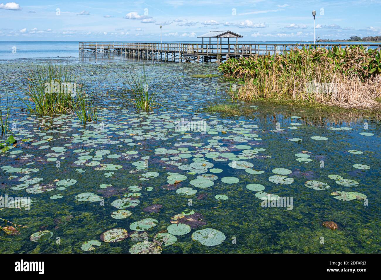Lake Apopka at Winter Garden in Orange County, Florida. (USA) Stock Photo