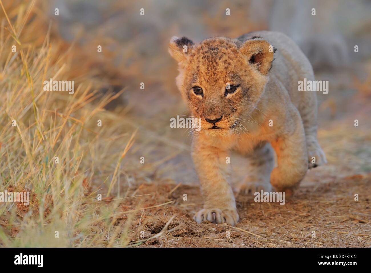 Page 32 F R I E N D S High Resolution Stock Photography And Images Alamy