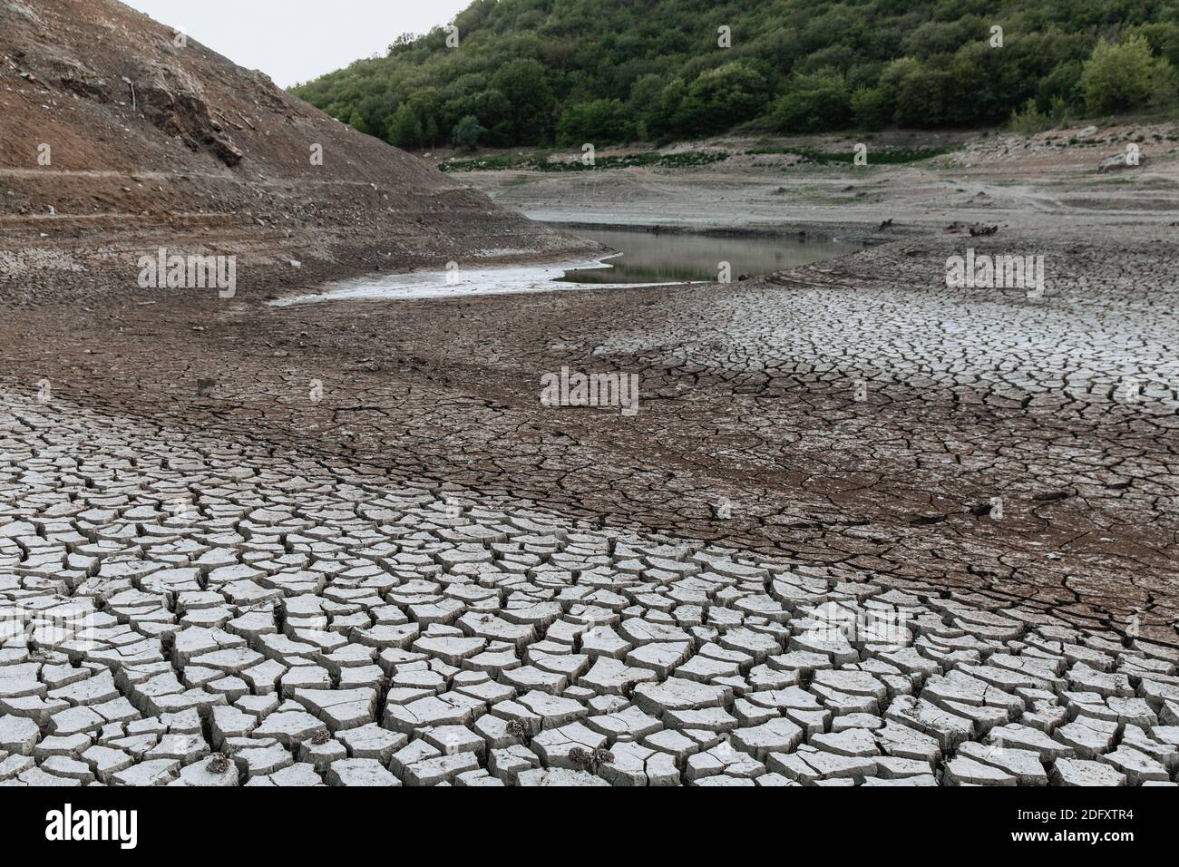 Lake that dry up against the backdrop of trees. Drought. Ecological catastrophy. Stock Photo