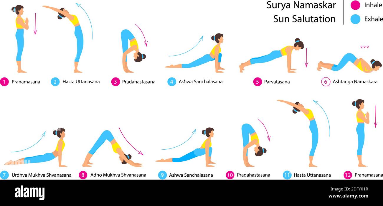 surya namaskar a sun salutation yoga asanas sequence set vector illustration young woman do morning yoga stretch exercise poses for body health asan 2DFY01R