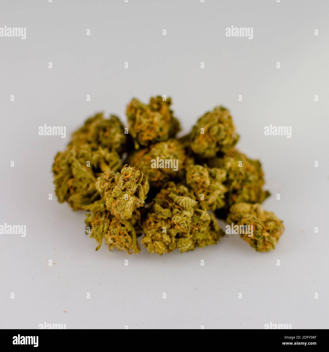 Close-up of La Strada Sativa strain dry flower cannabis buds in front of a white background Stock Photo