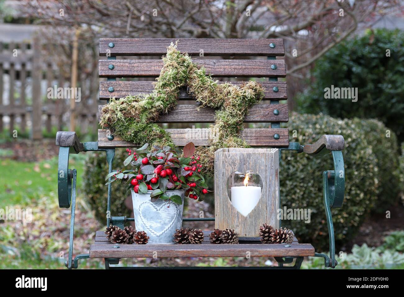 winter garden decoration with woode lantern and gaultheria procumbens Stock Photo