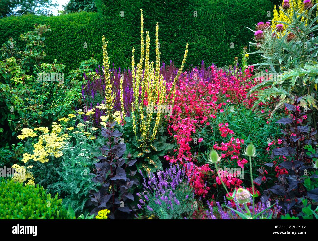 Colourful herbaceous border at Great Dixter Stock Photo