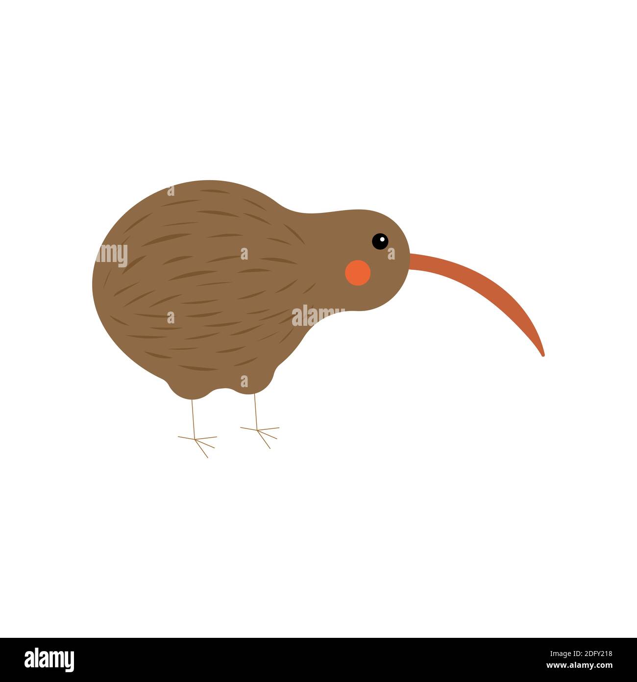 kiwi bird illustration for children on a white background. Vector Stock Vector