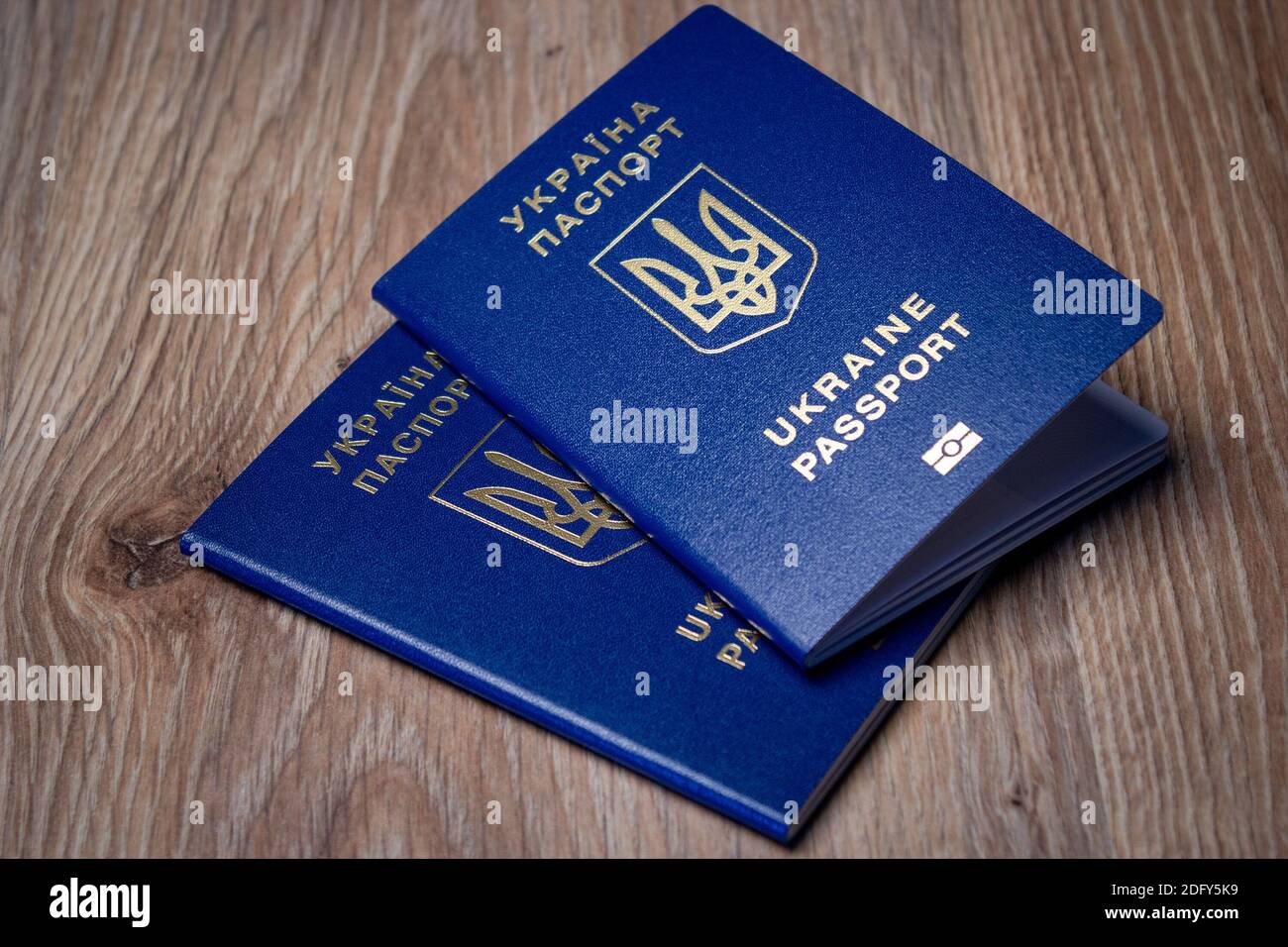 Ukrainian passport for traveling to other countries. Biometric passport