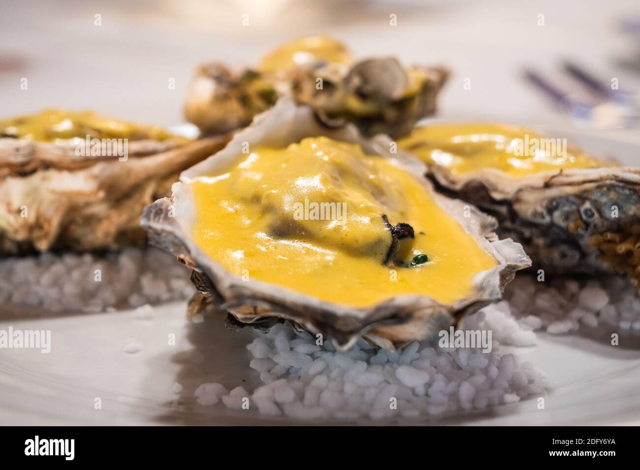 Oysters Rockefeller Broiled in Half Shall on a White Plate, a Typical