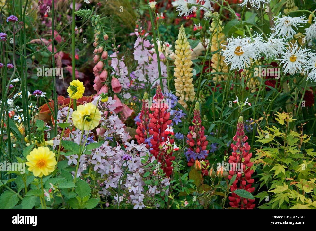 An exotic flower border with a large range of colourful flowers and plants making interesting plant combinations Stock Photo