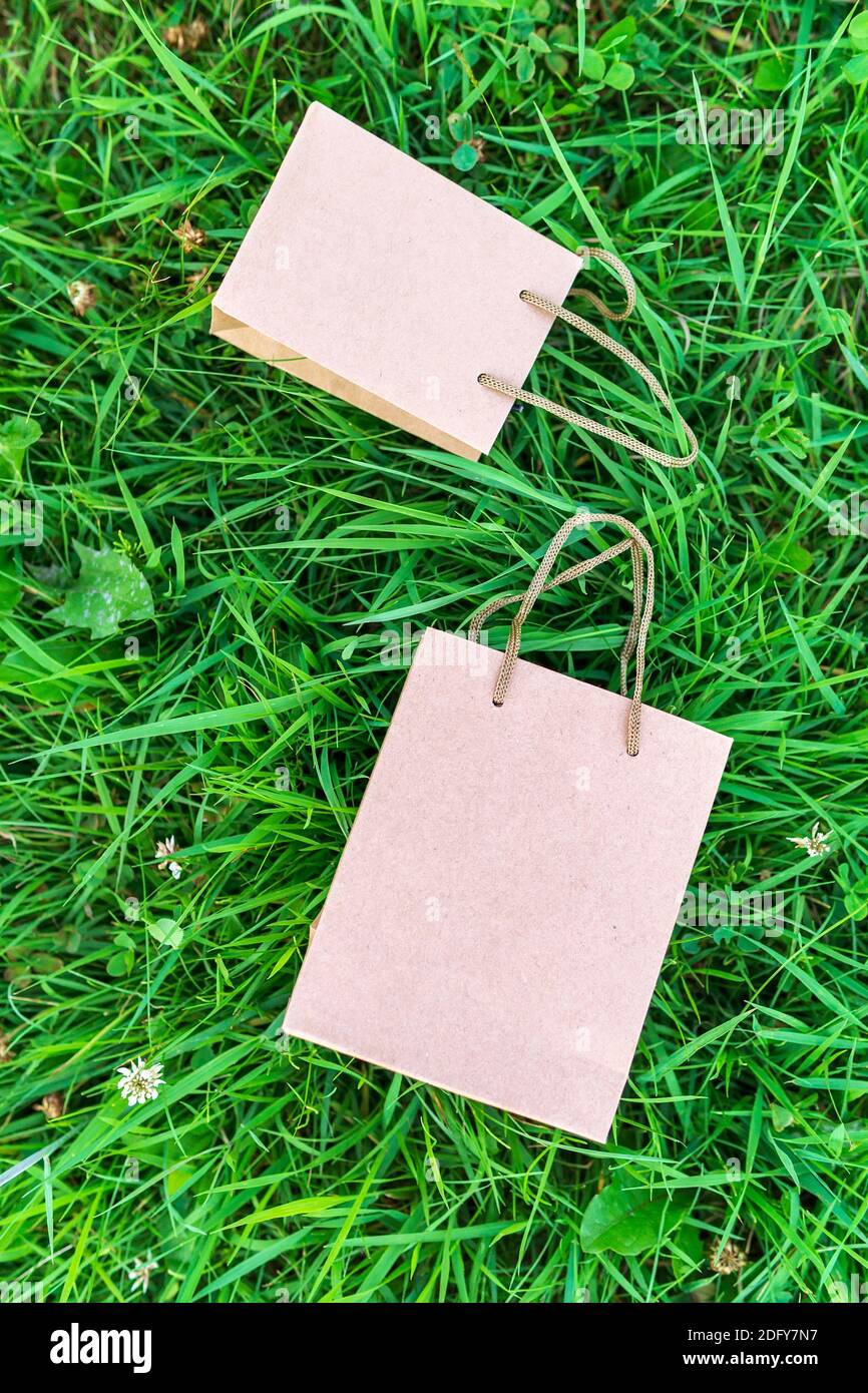 kraft paper bag. Template for branding identity on a natural green background. space for copying