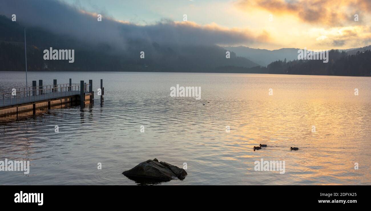 Titisee lake in the evening light, Schwarzwald, Black Forest, Baden-Wuerttemberg, Germany Stock Photo