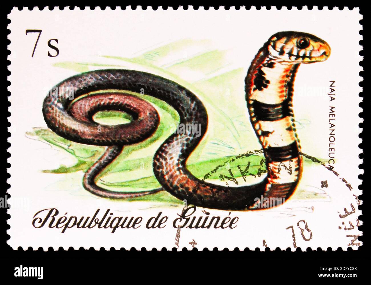 MOSCOW, RUSSIA - AUGUST 28, 2020: Postage stamp printed in Guinea shows Forest Cobra (Naja melanoleuca), Reptiles serie, circa 1977 Stock Photo