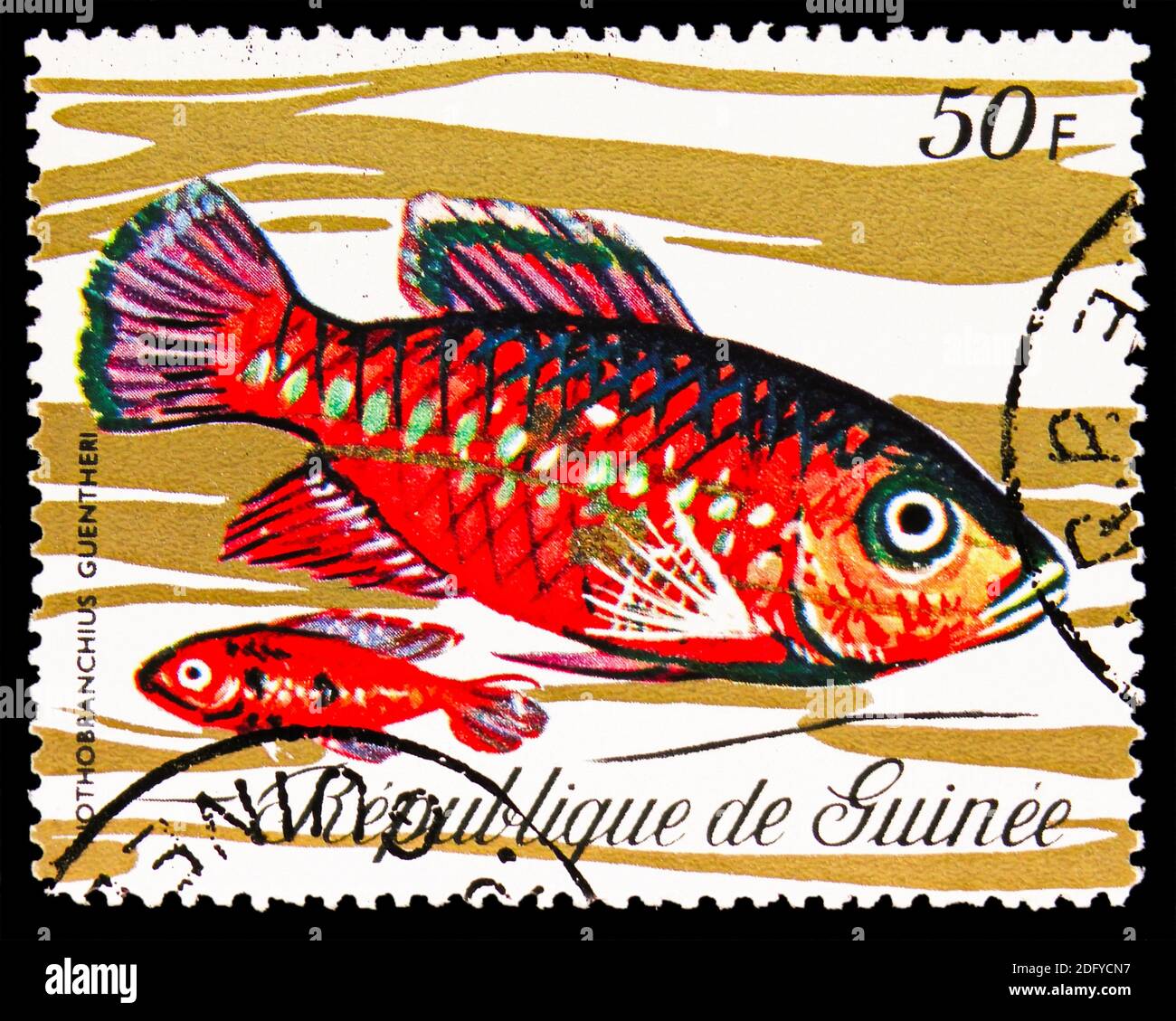 MOSCOW, RUSSIA - AUGUST 28, 2020: Postage stamp printed in Guinea shows Redtail Notho (Nothobranchius guentheri), Fishes serie, circa 1971 Stock Photo
