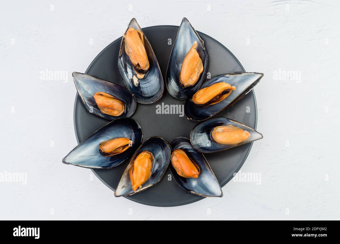 Mussels are a family of bivalve mollusks of great economic and