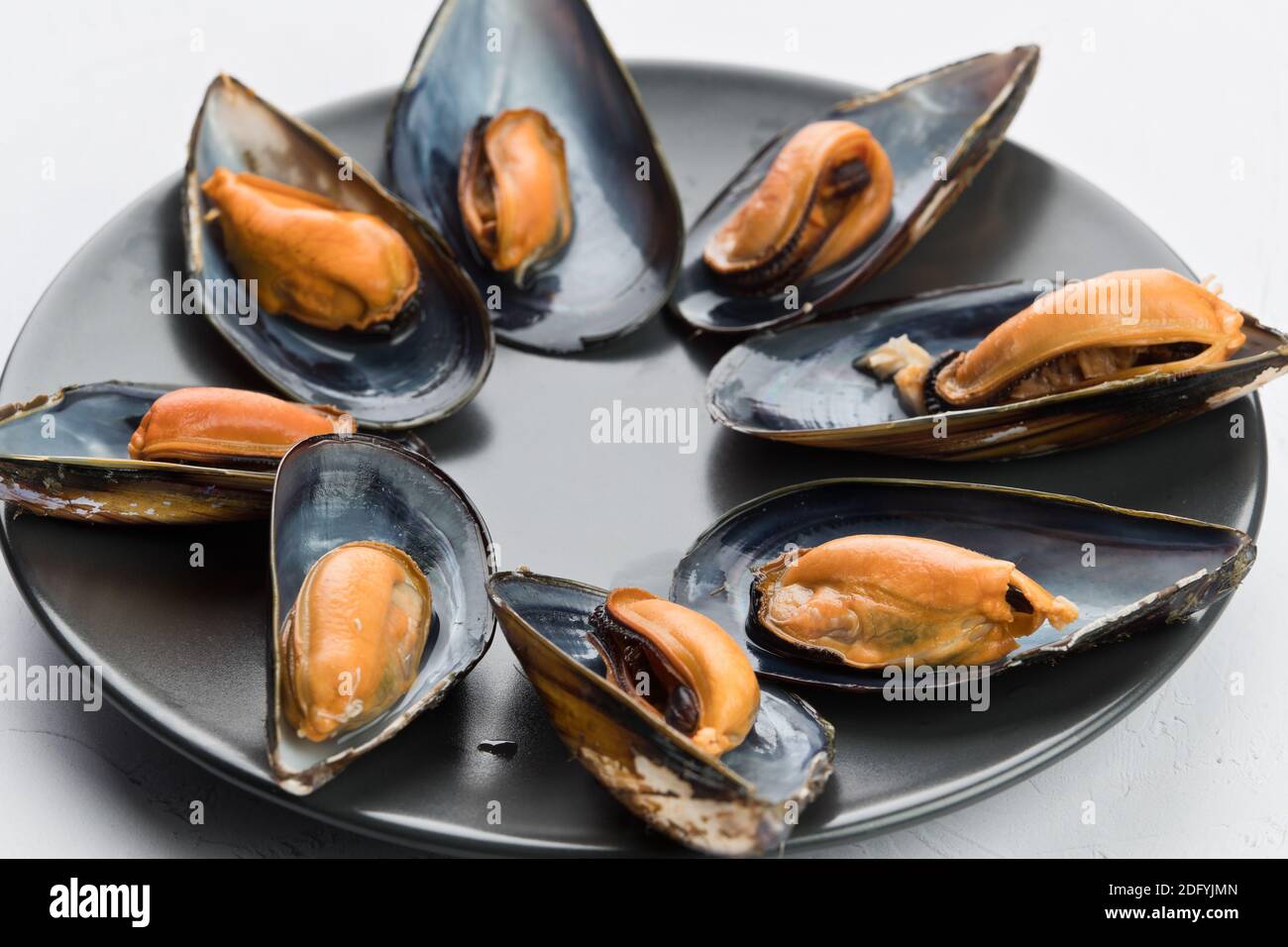 Mussels are a family of bivalve mollusks of great economic and