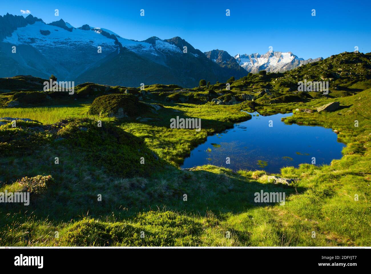 geography / travel, Switzerland, Fusshoerner and Wannenhoerner, Valais, Additional-Rights-Clearance-Info-Not-Available Stock Photo