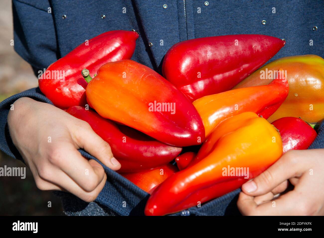 Peppers lots hi-res stock photography and images - Alamy