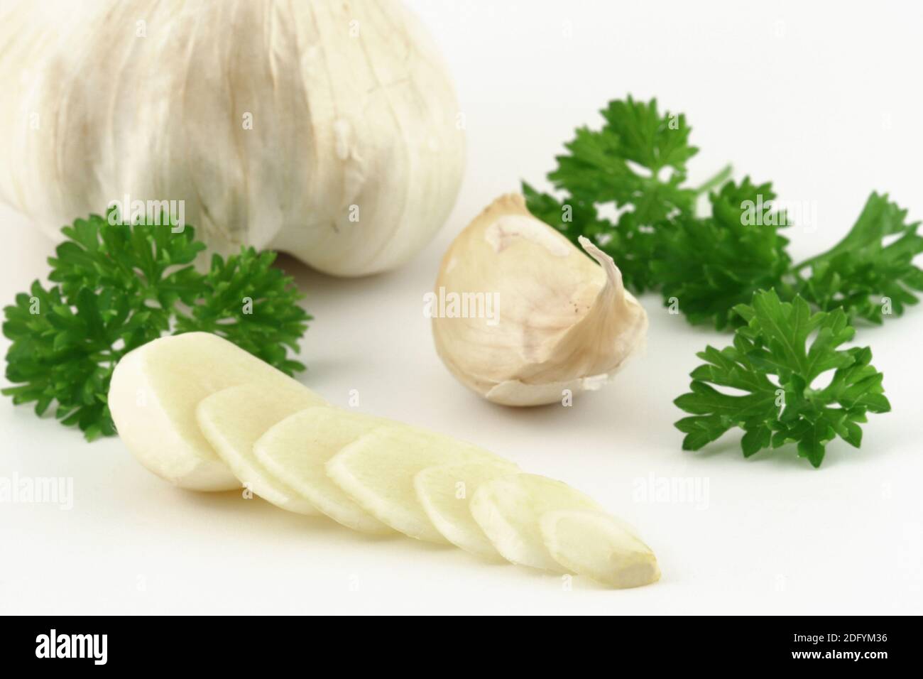 Garlic on white underground, garlic on white underground Stock Photo
