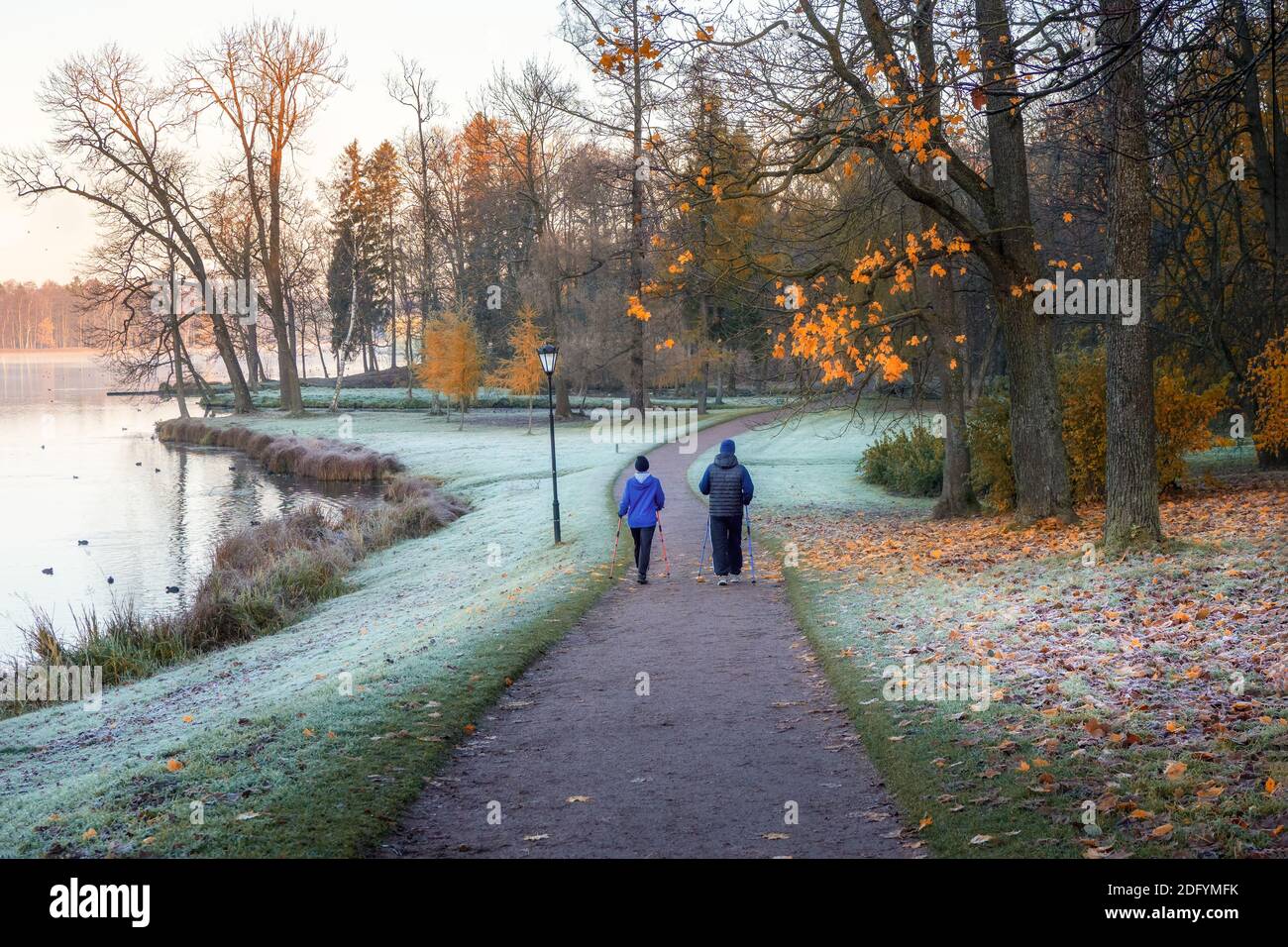 An elderly couple on a morning walk in a misty park with frost on the grass Stock Photo