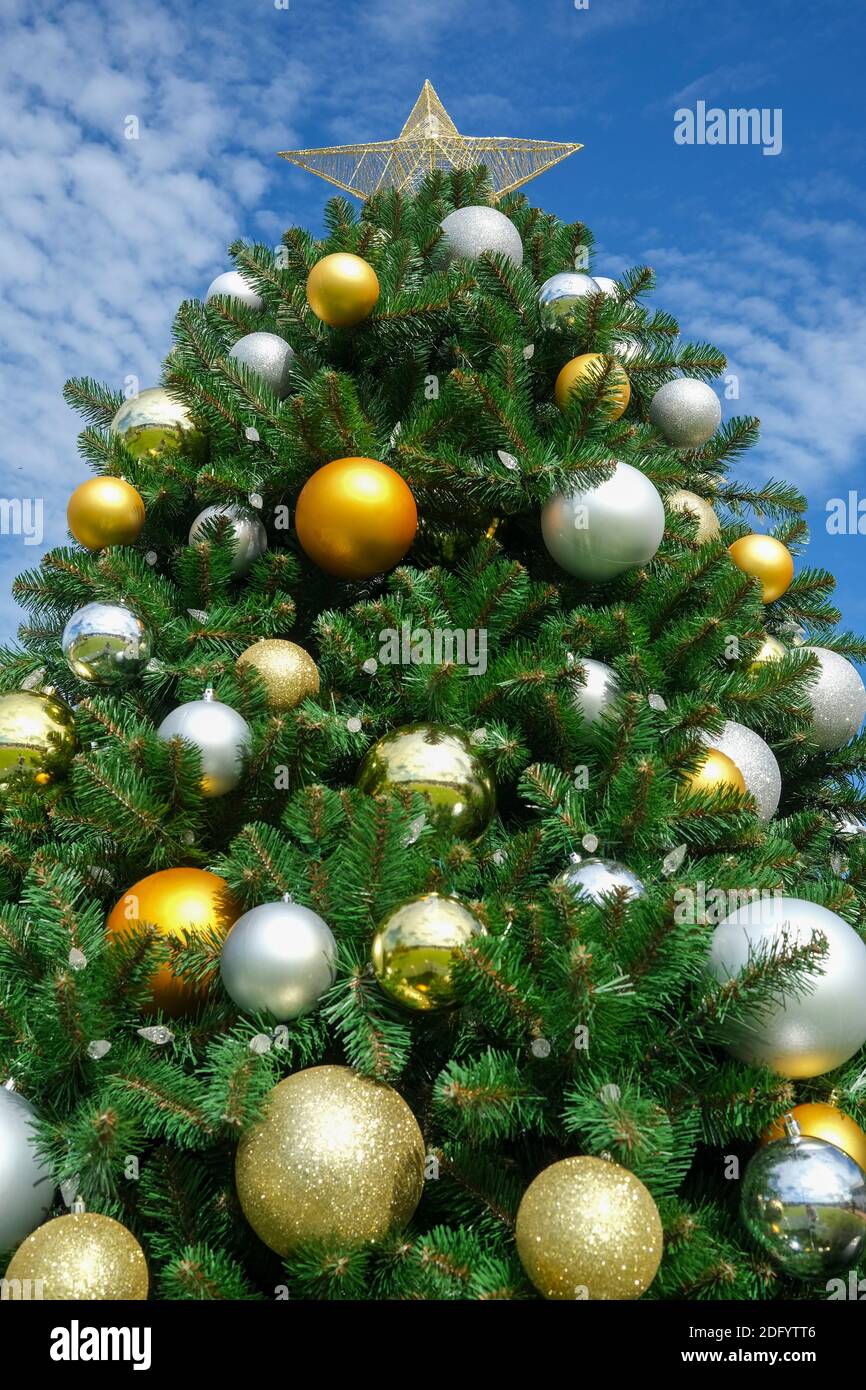 Outdoor christmas tree hi-res stock photography and images - Alamy