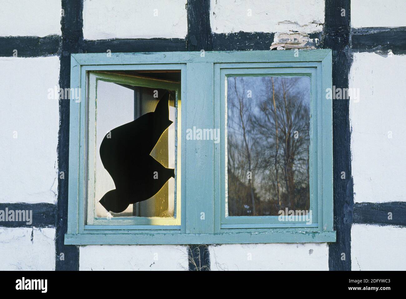 Vacant house, window panes Stock Photo