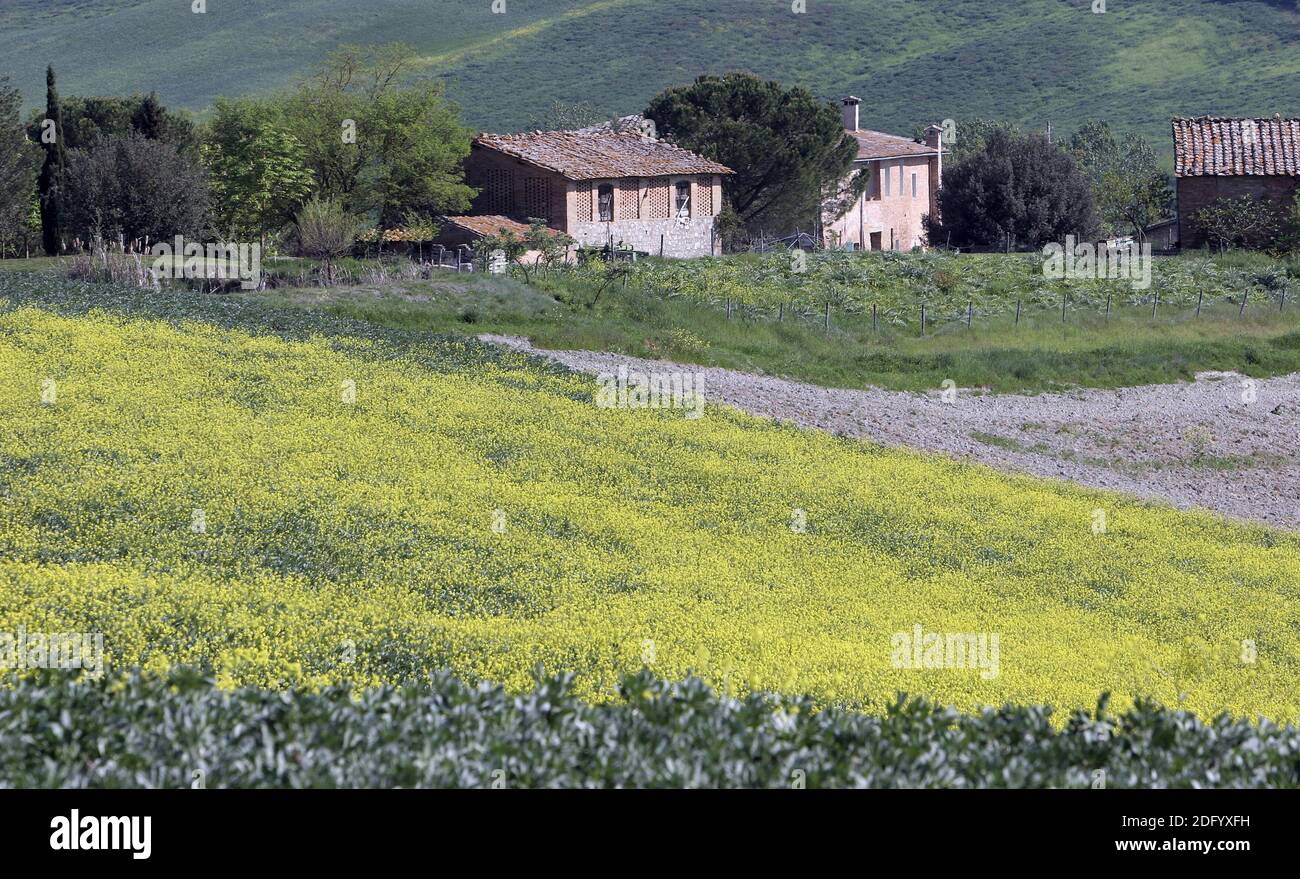 Rural Tuscany Stock Photo