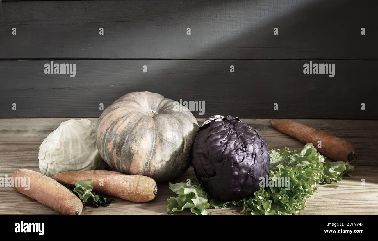 Still life: on a wooden shelf in the basement are pumpkins, carrots, red cabbage and white cabbage. Front view, copy space Stock Photo