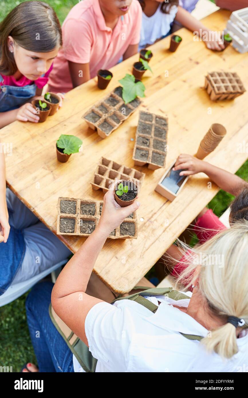 Children learn about plant reproduction and biology in the ecological summer camp Stock Photo