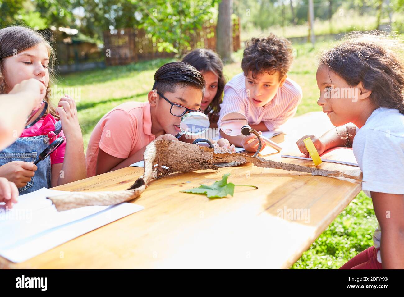 Group of children at the ecological summer camp look at tree bark through a magnifying glass Stock Photo