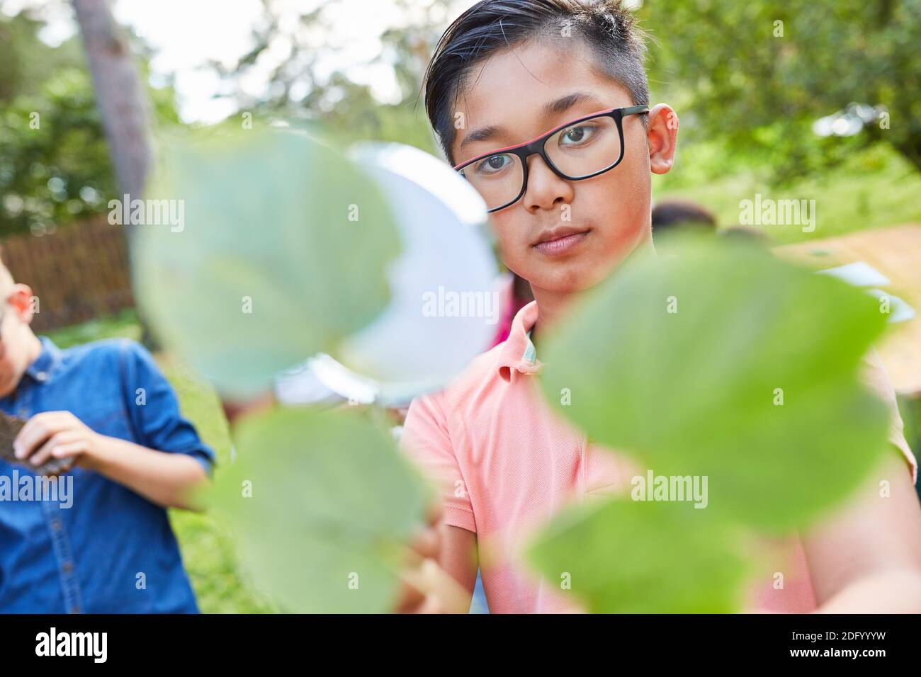 Children look through magnifying glass at a leaf in summer camp and learn about natural history Stock Photo