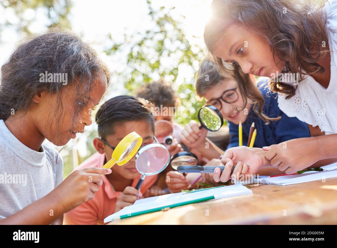 Children curiously look through a magnifying glass at a leaf in the ecological summer camp Stock Photo