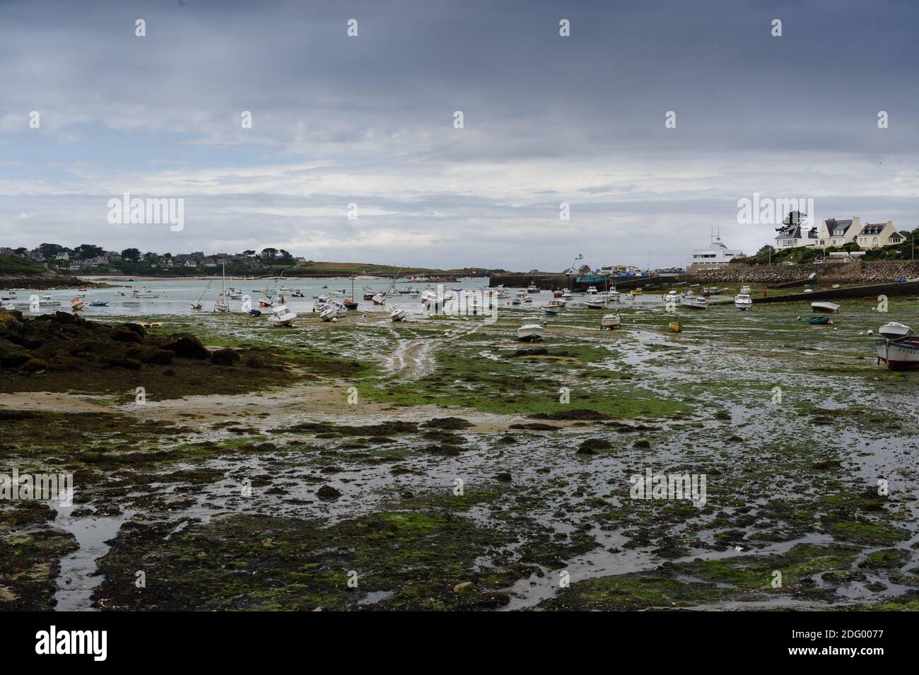 Roscoff grounding port at low tide. Brittany, France. Boats are moored near the shore. A few fisherman's houses line the main street. Clear weather, Stock Photo