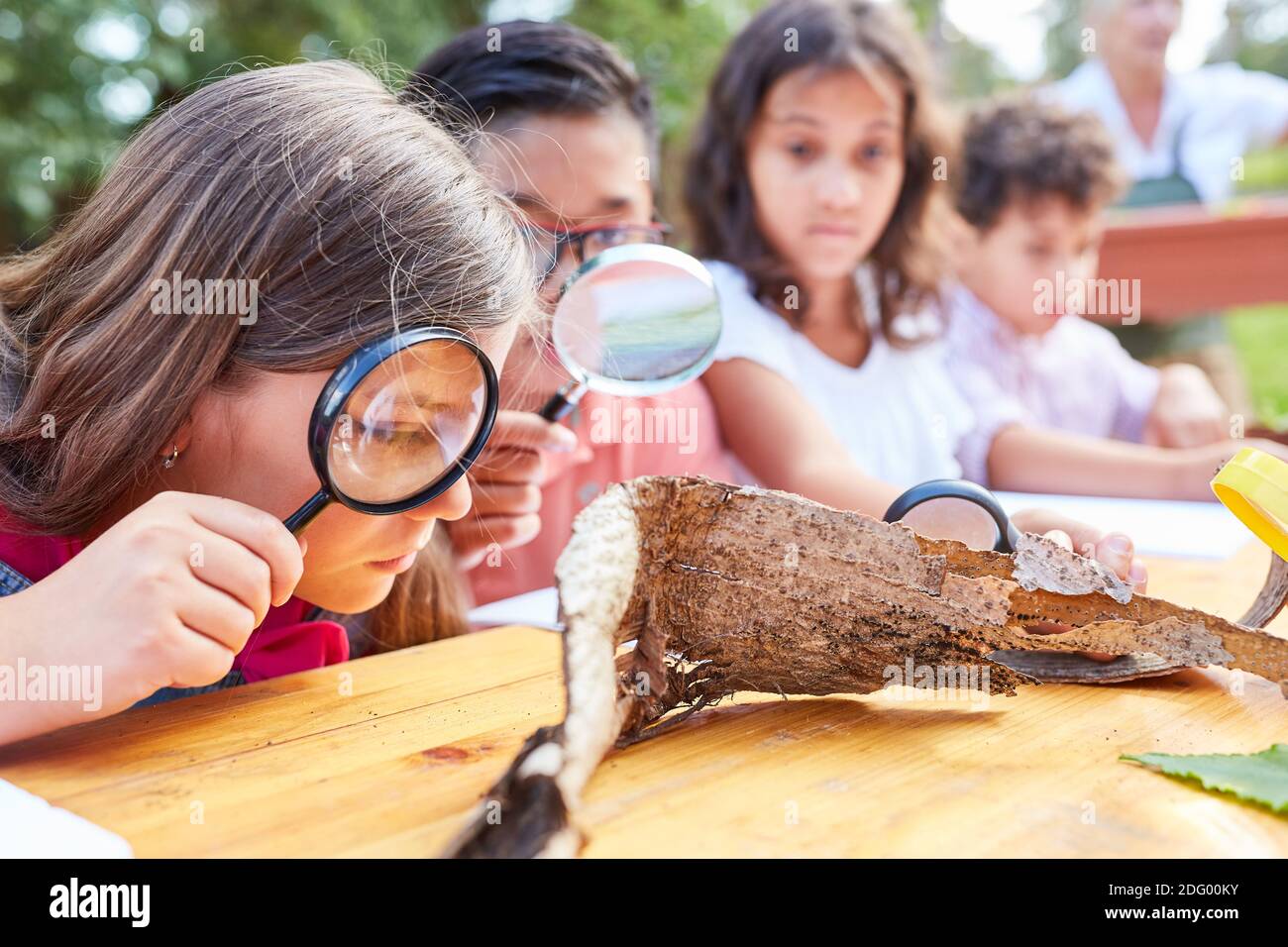 Children curiously look at tree bark through a magnifying glass at the ecological holiday camp Stock Photo