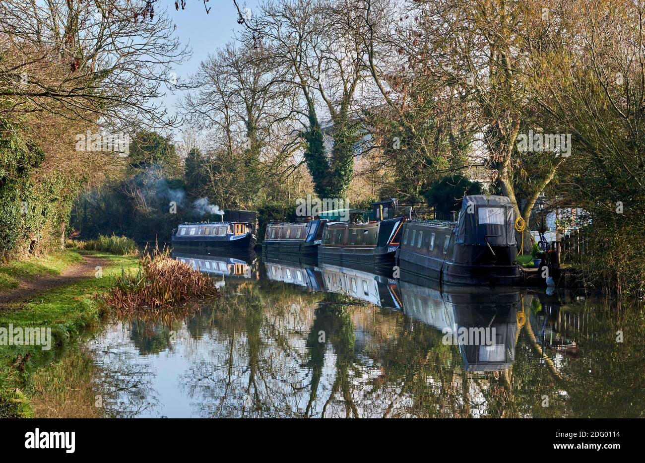 Canal boats moored up, early morning in Autumn on the Ashby Canal, Hinckley, Leicestershire, East Midlands, UK Stock Photo