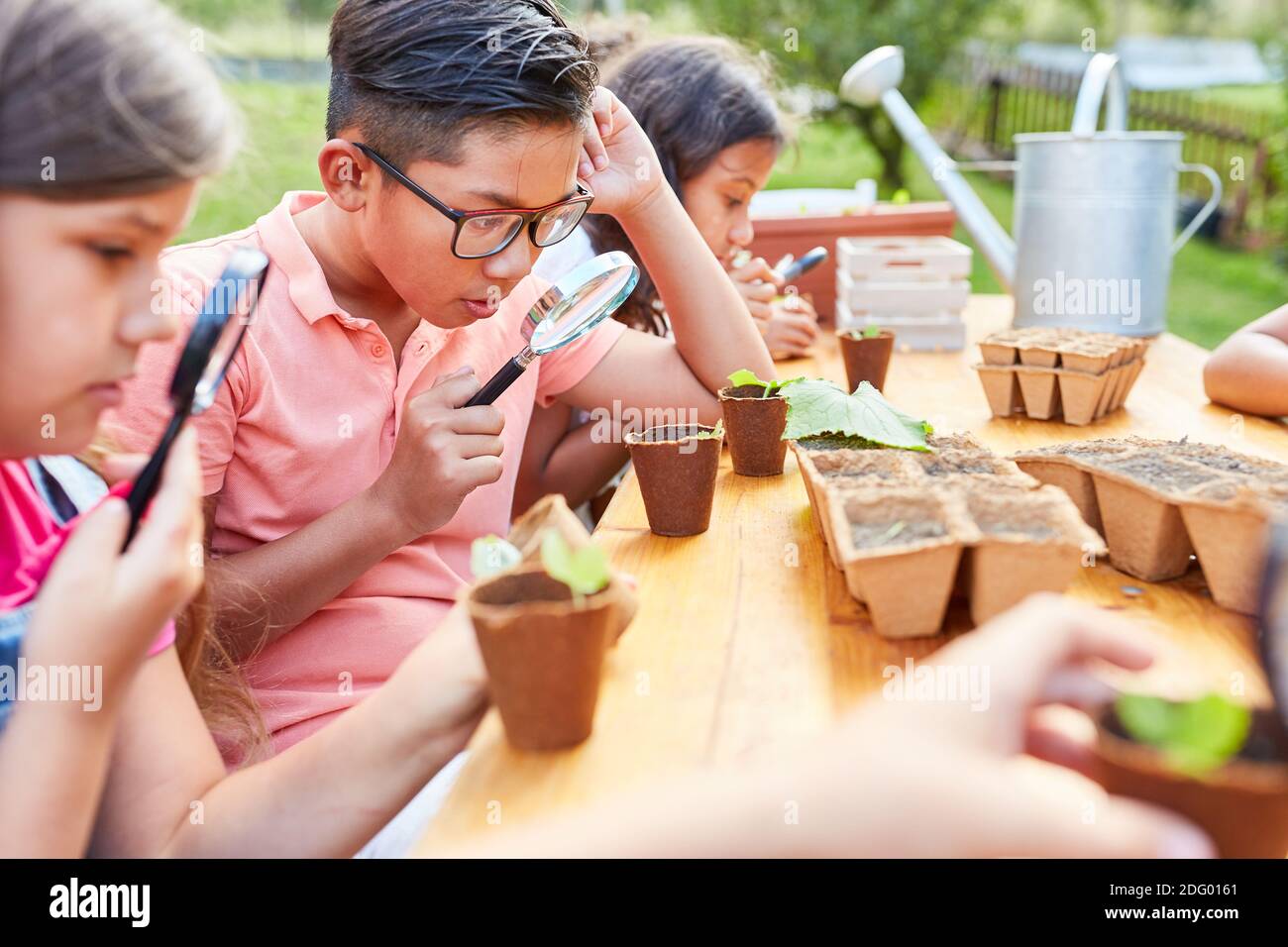 Children look through magnifying glasses at plants in summer school biology vacation course Stock Photo