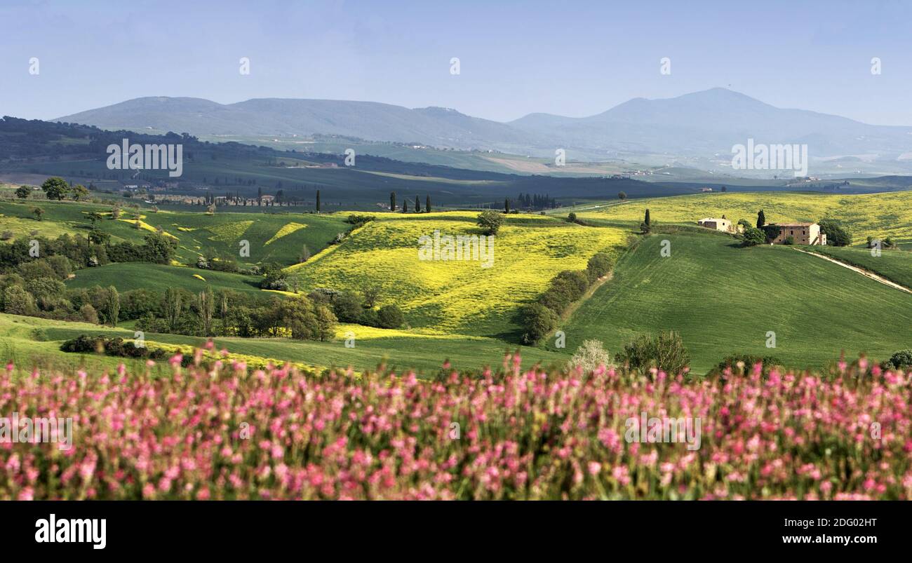 Tuscany in spring Stock Photo