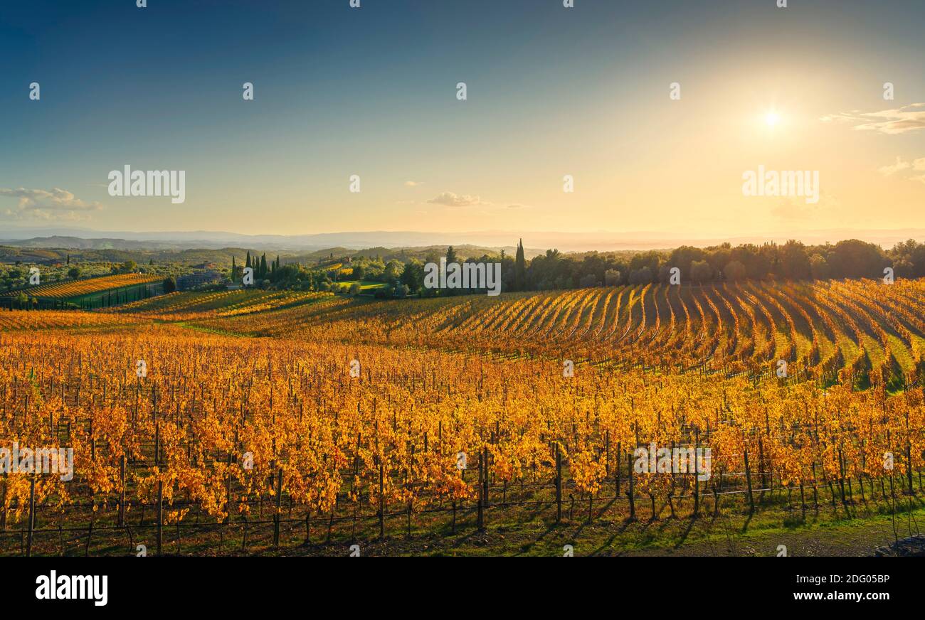 San Gusme Chianti vineyard panorama at sunset in autumn. Tuscany, Italy Europe. Stock Photo