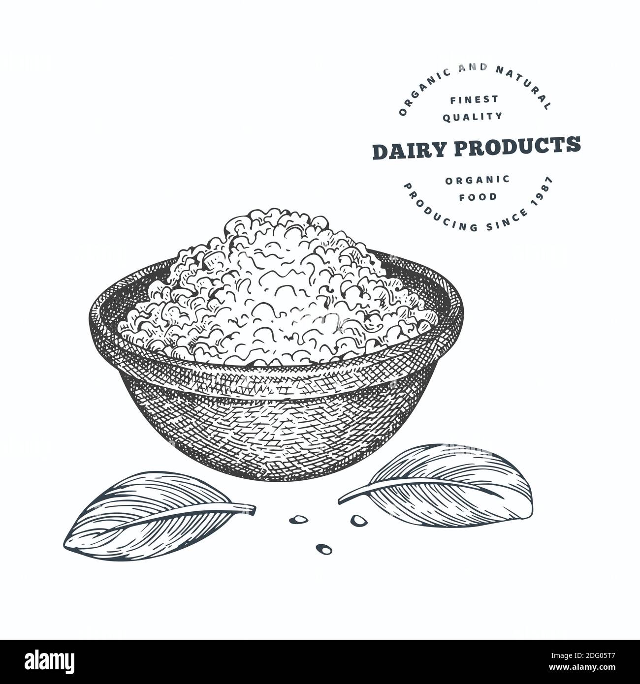 Hand drawn sketch style cottage cheese in bowl. Organic fresh food