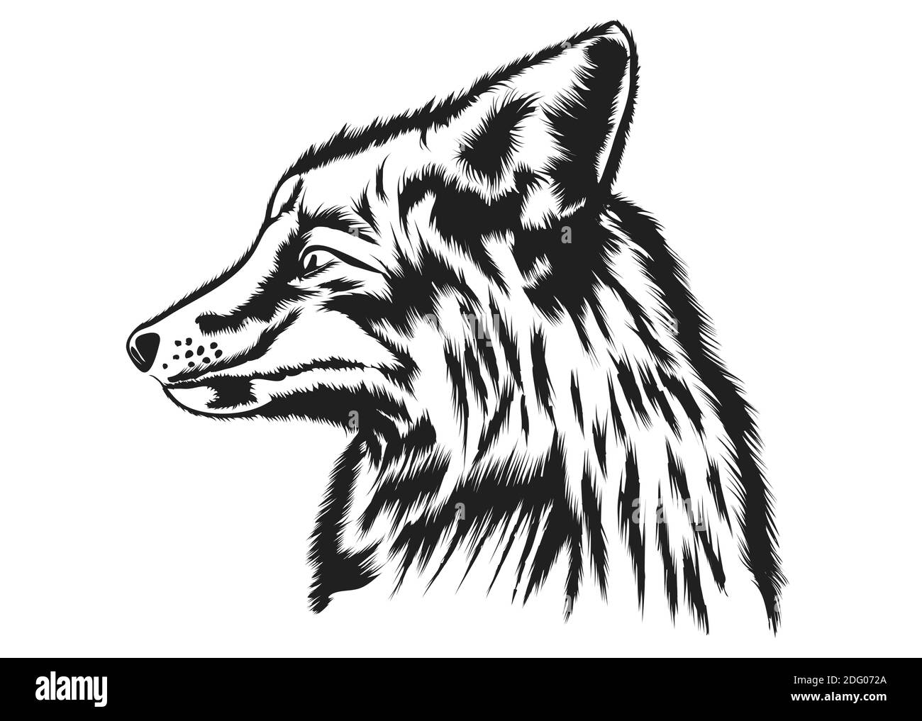 fox silhouette isolated on white background Stock Vector Image & Art - Alamy