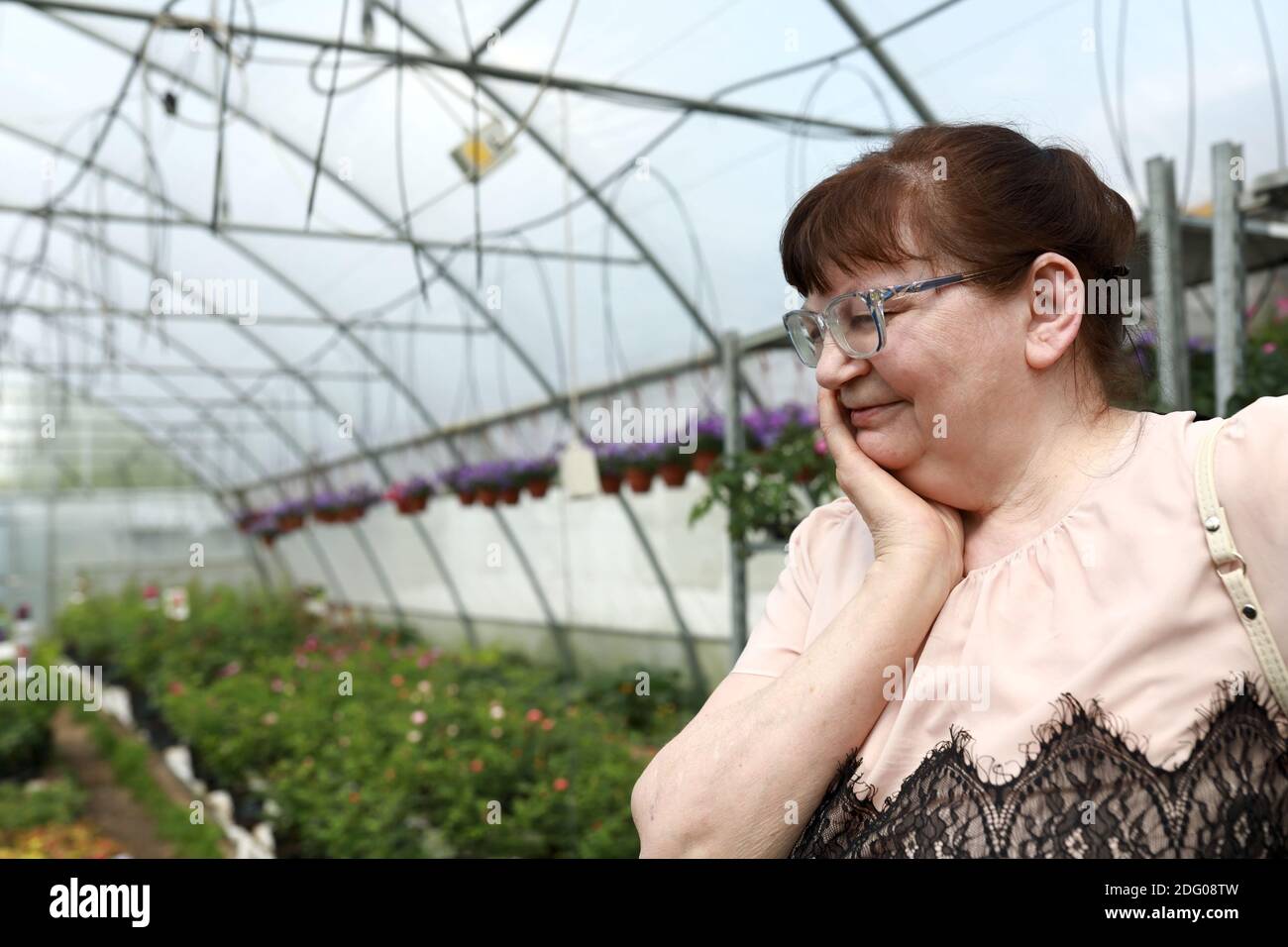 Portrait of senior woman in greenhouse on the market Stock Photo - Alamy