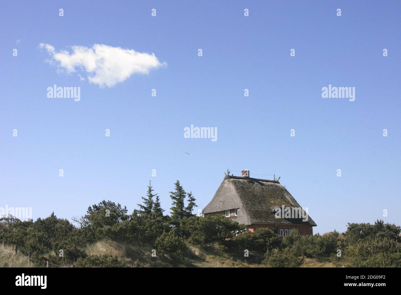 House in the dunes Stock Photo