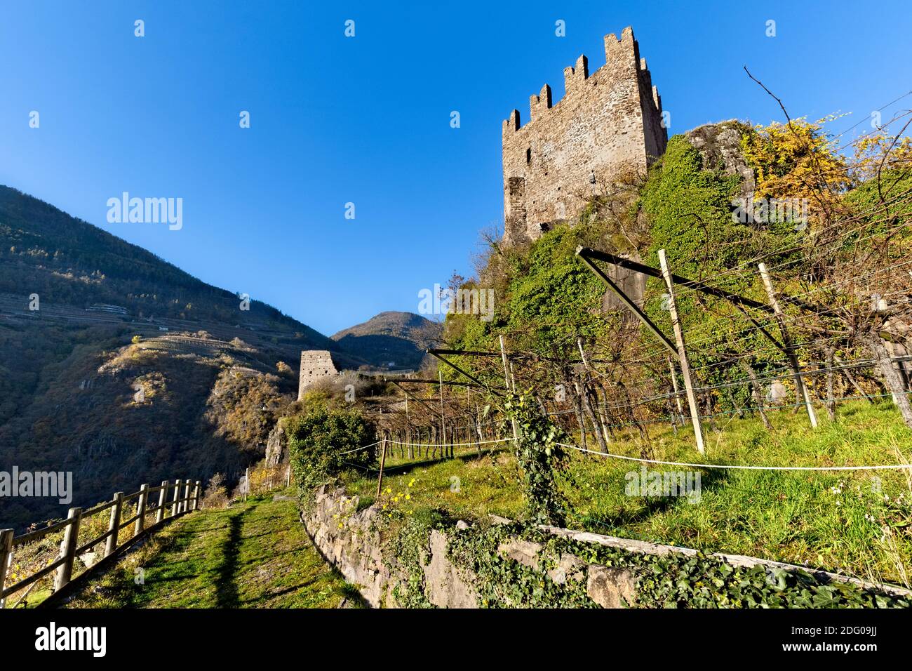 The medieval castle of Segonzano and the vineyards of the Cembra valley. Cembra valley, Trento province, Trentino Alto-Adige, Italy, Europe. Stock Photo