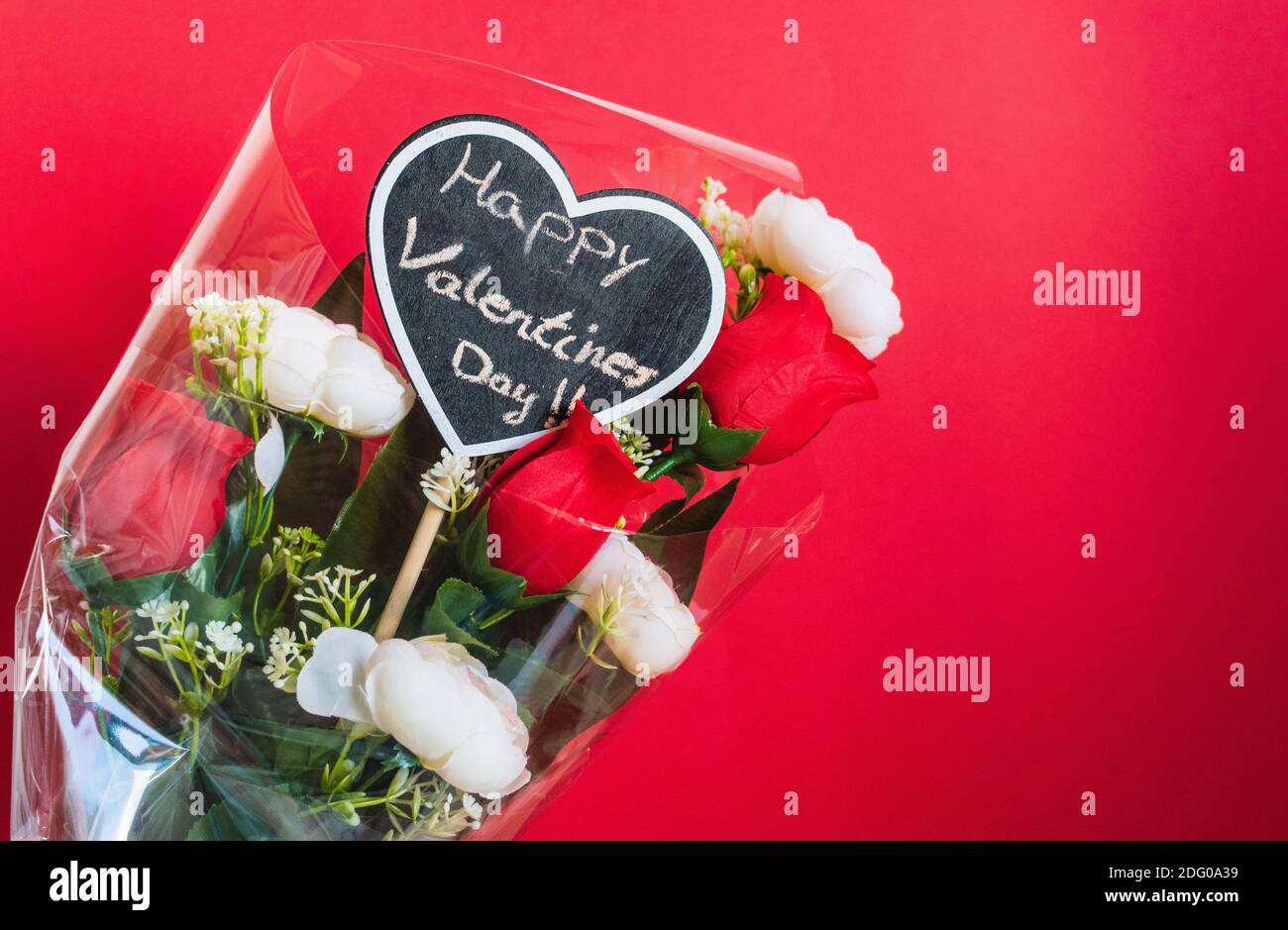White cat red roses hi-res stock photography and images - Alamy
