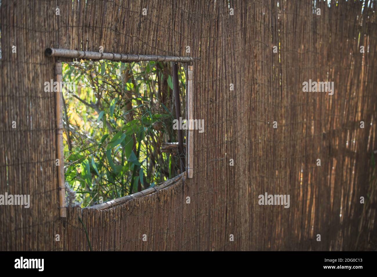 Water Reed Windows reed window for bird watching in a lagoon with dark brown texture and ...