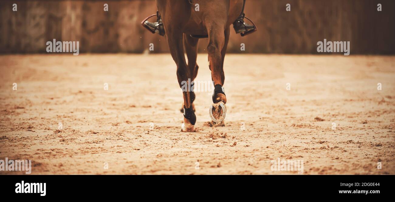 Shod hooves of a Bay horse running at a gallop, kicking up the sand in the outdoor arena. Horseback riding. Equestrian sport. Stock Photo
