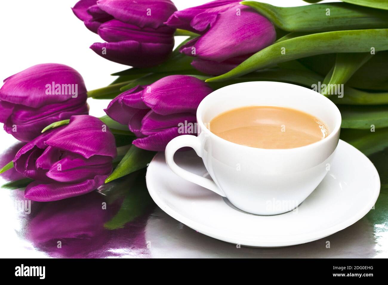 White cup of coffee with violet tulips Stock Photo